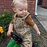 toddler, child, blonde_hair, toy_tractor, outdoor, brick_wall, yellow_flowers, grass, sidewalk, green_toy, brown_shirt, overalls, cute, smile, playing, garden, person, young_child, summer, daytime