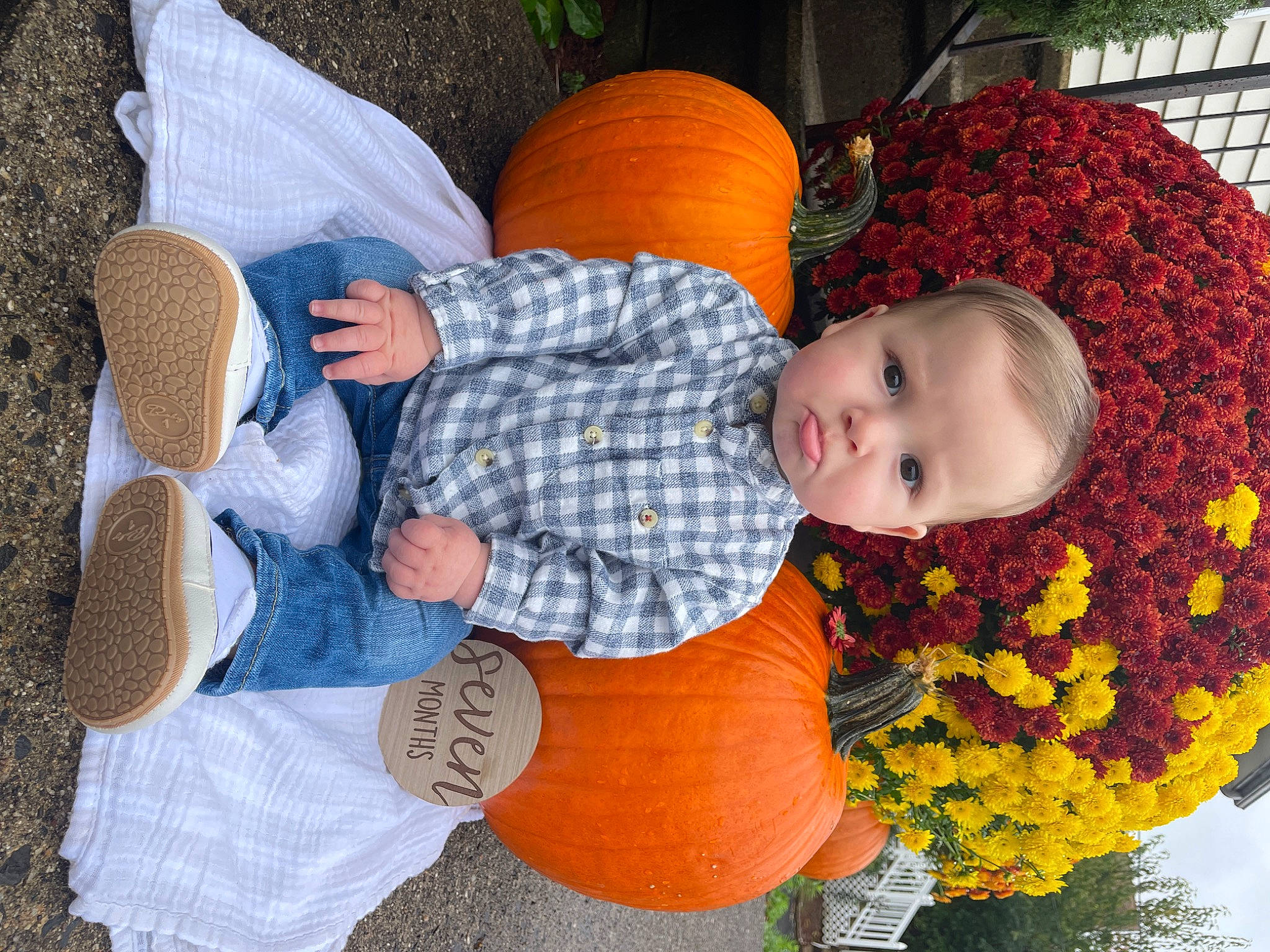 Brody is registered to the contest to win money with this photo: baby_toddler_clothing, calabaza, comfort, flower, grass, happy, headgear, leaf, leisure, orange, people_in_nature, person, plant, pumpkin, squash, textile, toddler, tree, winter_squash, wood