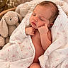 newborn, baby, infant, sleeping, portrait, close_up, face, hands, swaddle, blanket, floral, stuffed_animal, bunny, cozy, nursery, indoor, chair, soft_lighting, peaceful, photography