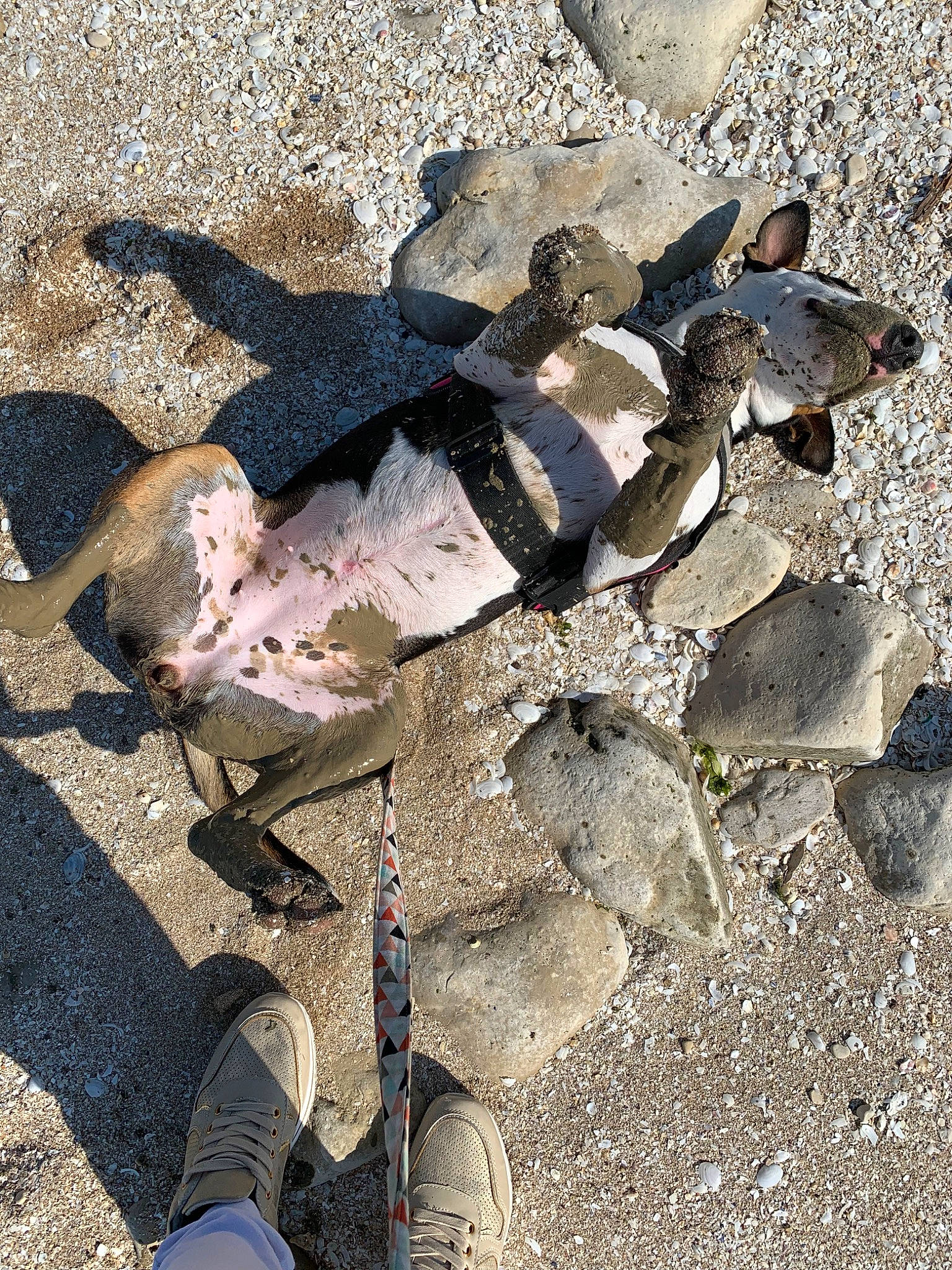 Only participe au concours pour gagner de l'argent avec cette photo : geology, rock, shadow