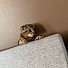 animal, brown_wall, cat, claws, climbing, couch, curious, cute, feline, household, indoor, kitten, peeking, pets, playful, small, tabby, texture, whiskers, young