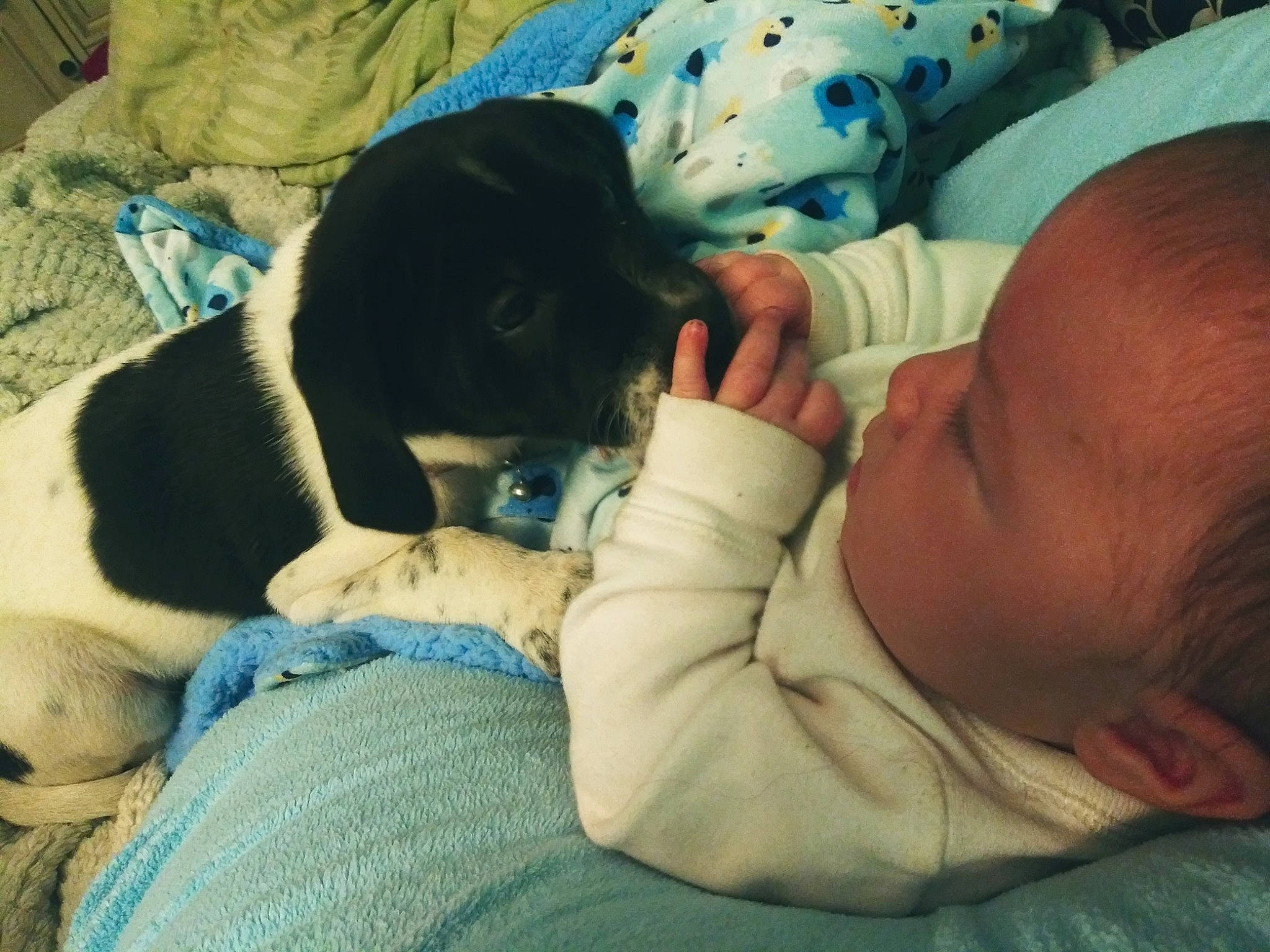 Keagan joined the competition — help win amazing prizes! baby, bedtime, birth, black_hair, canidae, child, companion_dog, nap, person, puppy, puppy_love, sporting_group