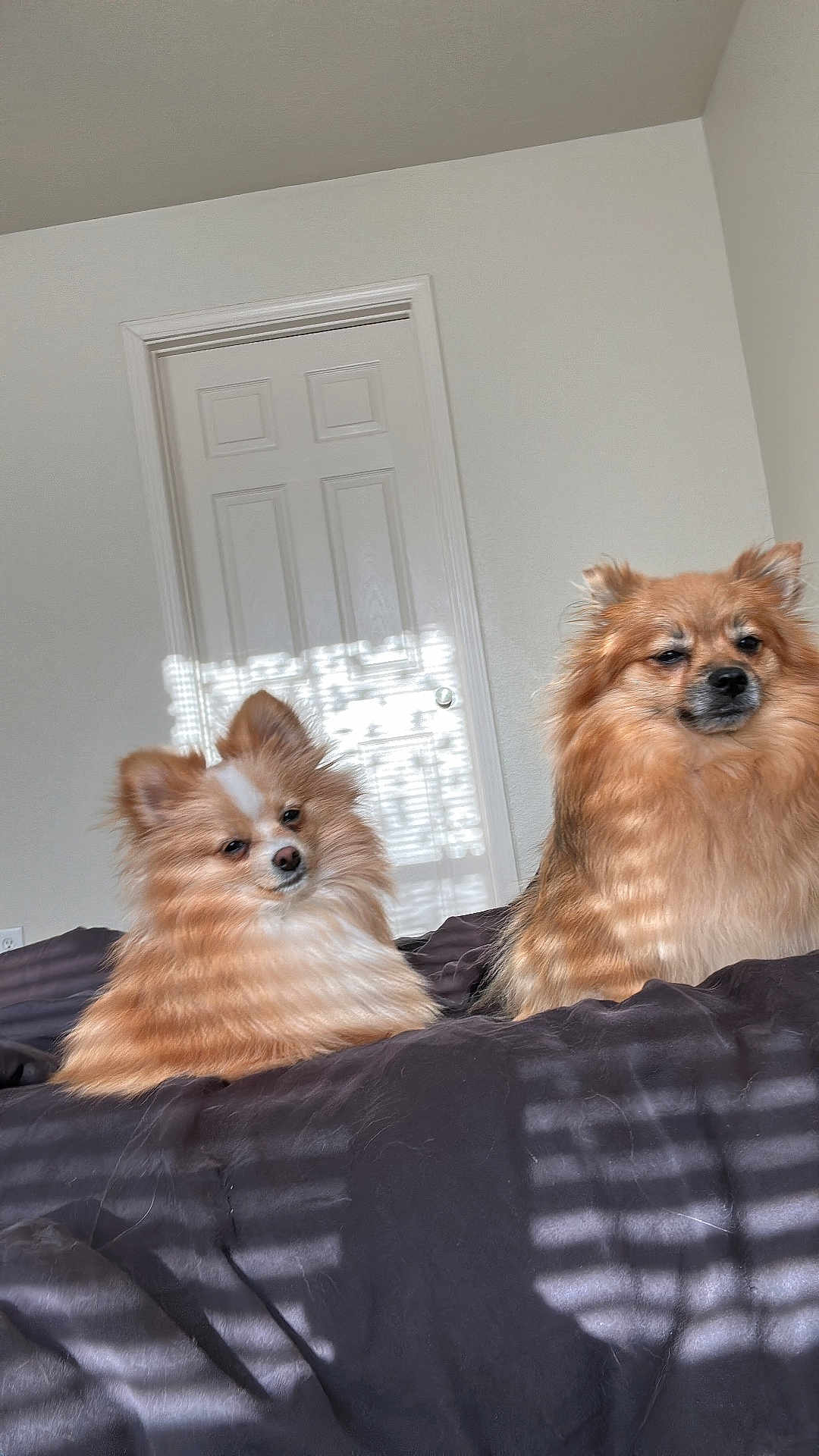 Pretty And Rocket