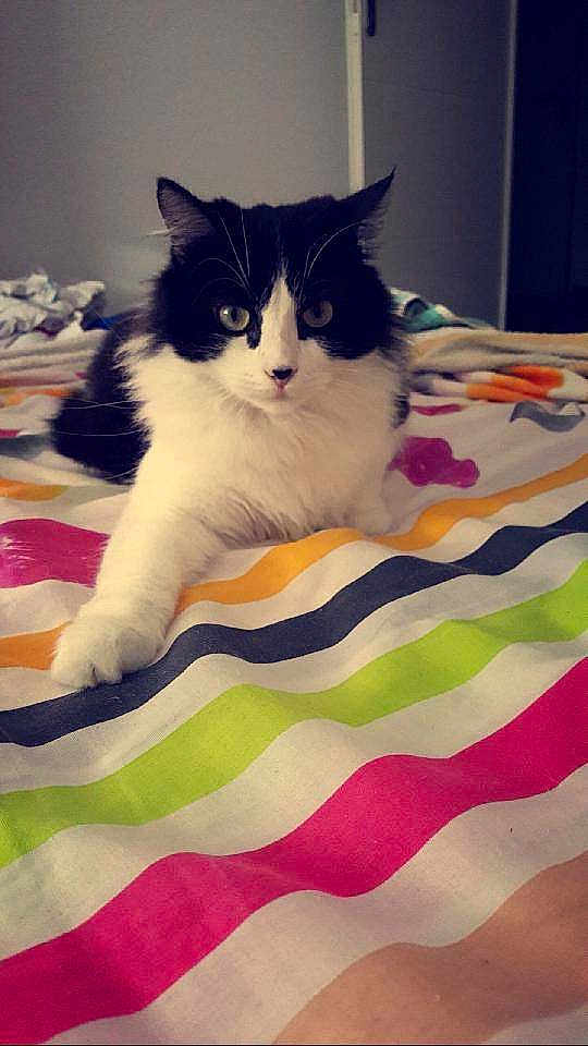 Nala participe au concours pour gagner de l'argent avec cette photo :