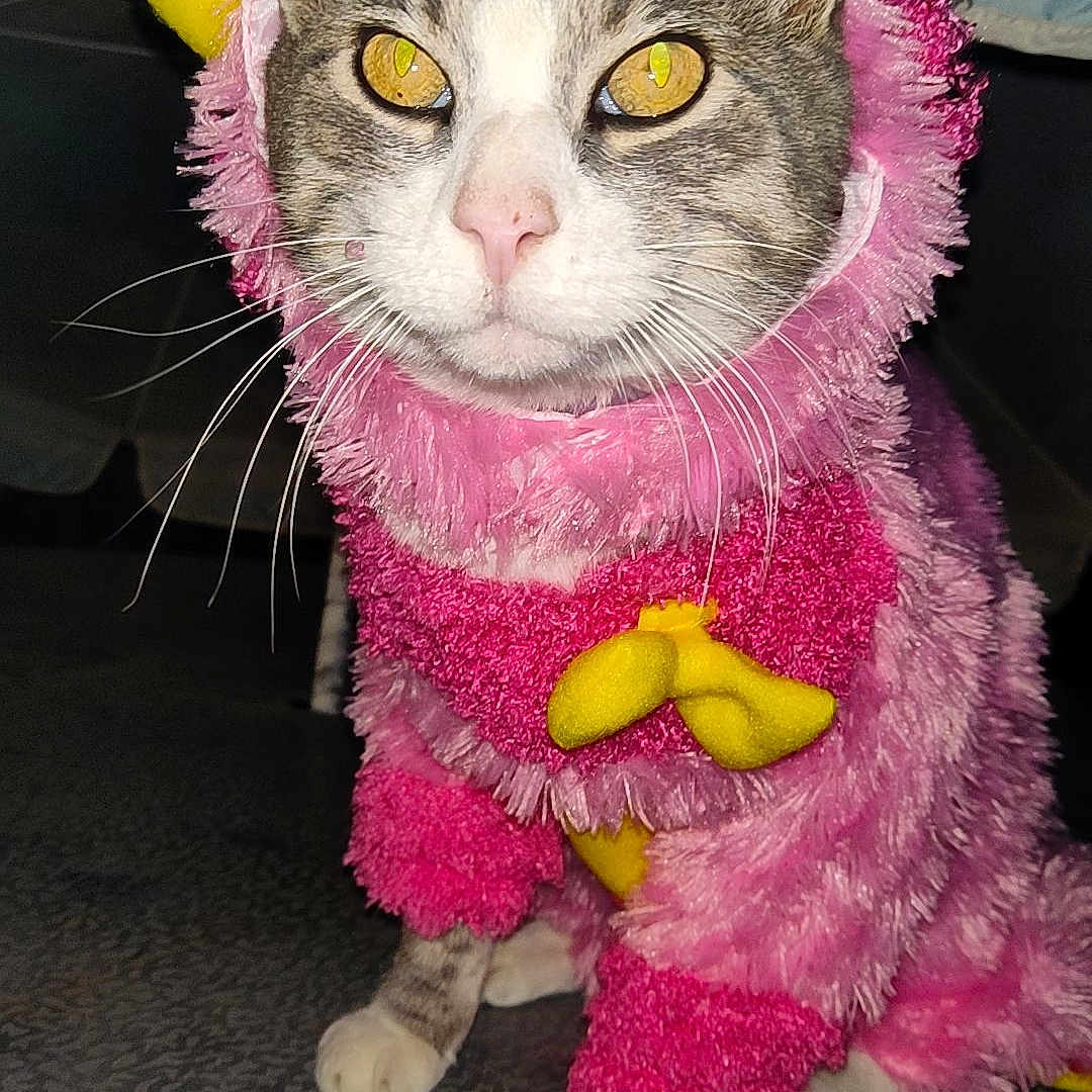Jax