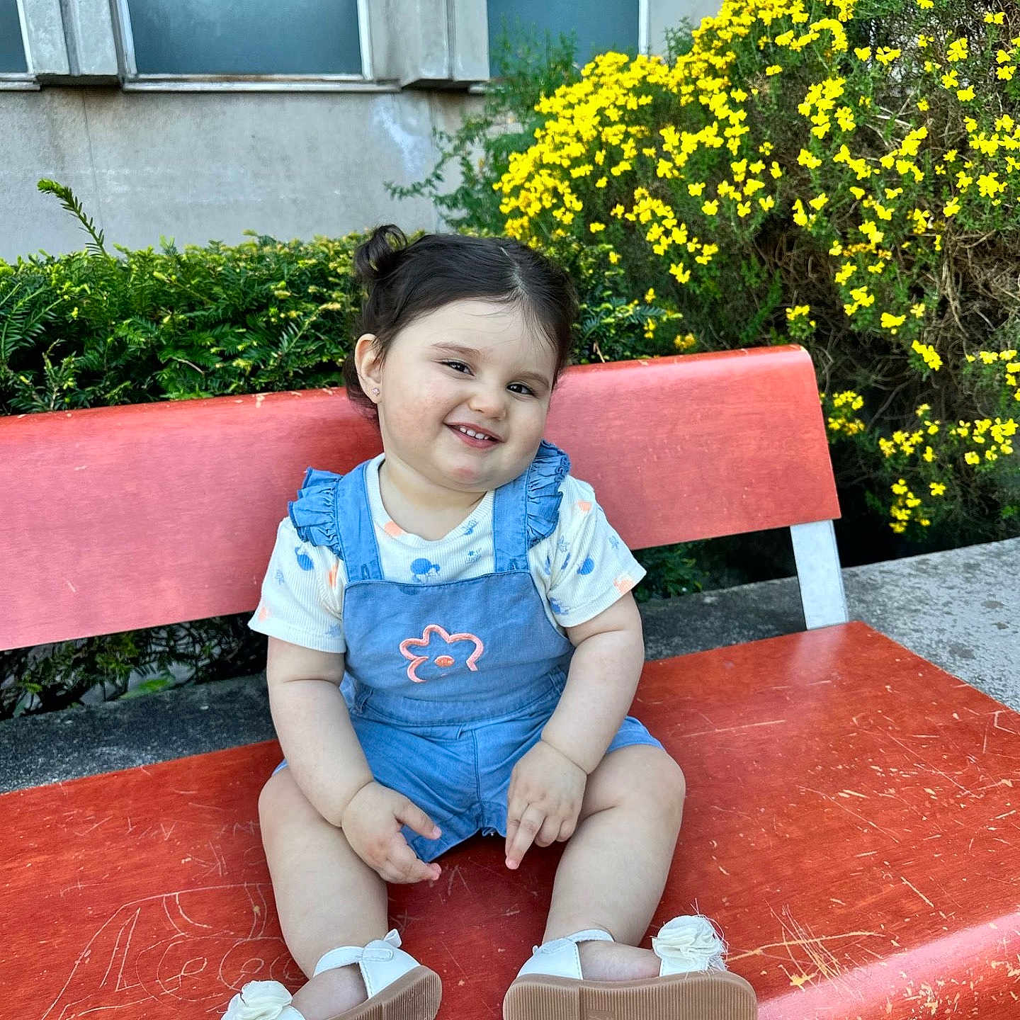 Elyse participe au concours pour gagner de l'argent avec cette photo : bench, blue_overall, building, casual_clothing, child, concrete, cute, daylight, flowers, greenery, hair_buns, happy, nature, outdoor, portrait, scratched_bench, smiling, toddler, white_sandals, yellow_flowers