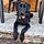 Buddy