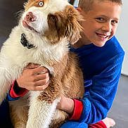 Pixel a rejoint le concours — aidez-le/la à gagner de superbes lots ! boy, dog, hugging, indoor, smiling, fluffy, brown_and_white, mismatched_eyes, cozy_clothing, child, pet, affection, floor, casual, cute, friendly, portrait, happy, playful, companionship