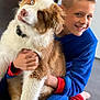 boy, dog, hugging, indoor, smiling, fluffy, brown_and_white, mismatched_eyes, cozy_clothing, child, pet, affection, floor, casual, cute, friendly, portrait, happy, playful, companionship