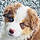 Pixel