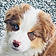 Pixel