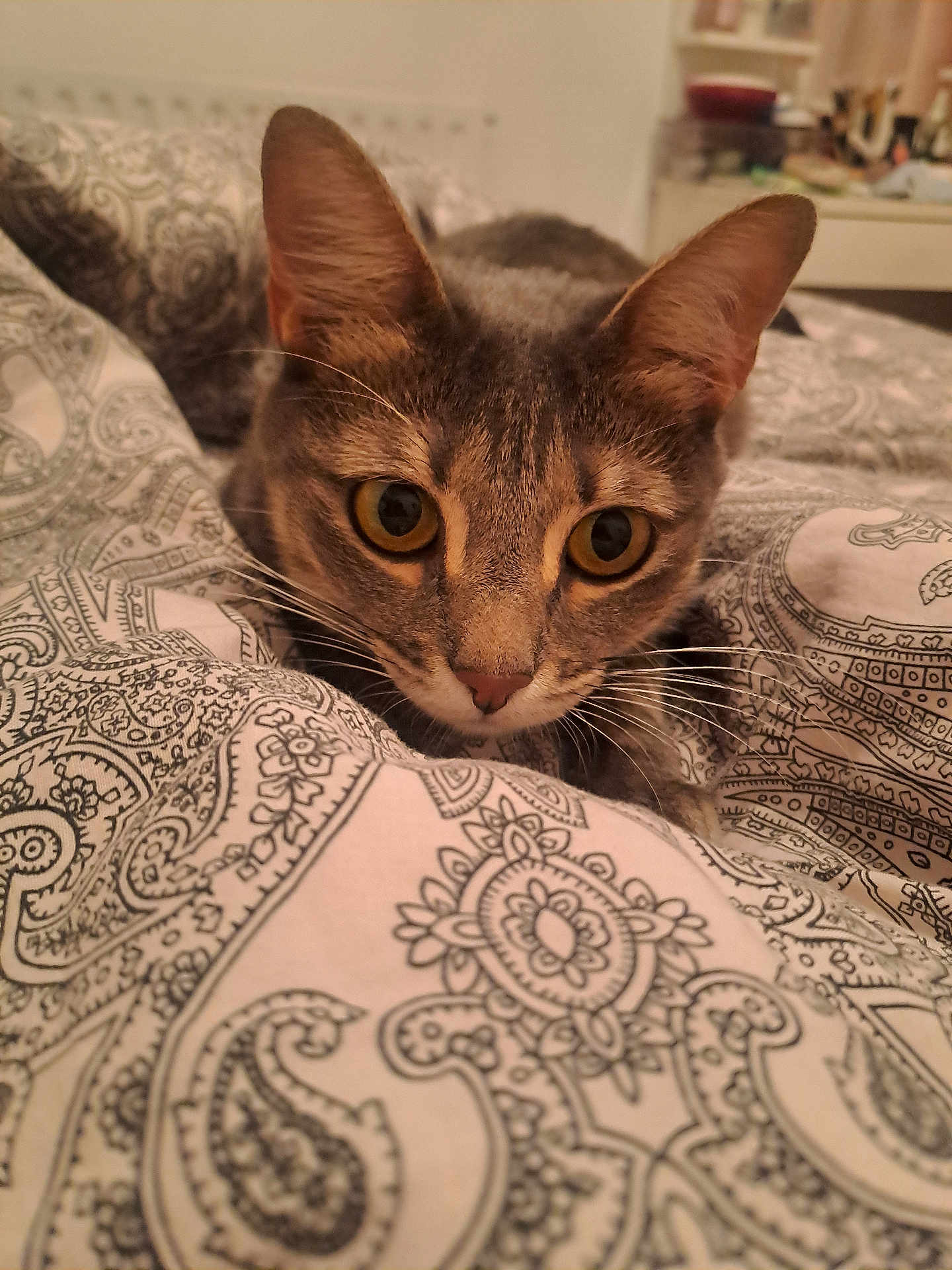 Nala
