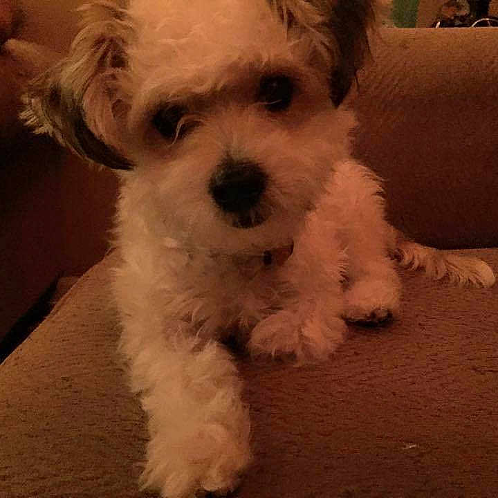 Leia is registered to the contest to win money with this photo:
