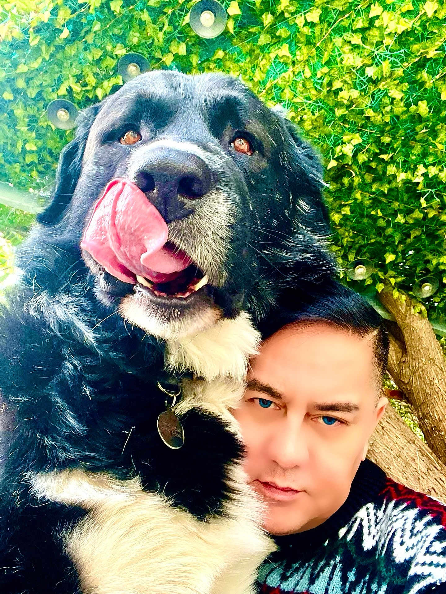 Zangi is registered to the contest to win money with this photo: animal, black_and_white, close_up, collar, dog, expression, face, friendship, greenery, leaves, man, nature, outdoor, person, pet, playful, portrait, sweater, tongue, tree