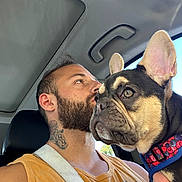 Gerald is registered to the contest to win money with this photo: man, dog, french_bulldog, car_interior, seatbelt, tattoo, beard, tank_top, window, collar, pet, animal, human, portrait, side_profile, sunlight, ear, closeup, looking, hand