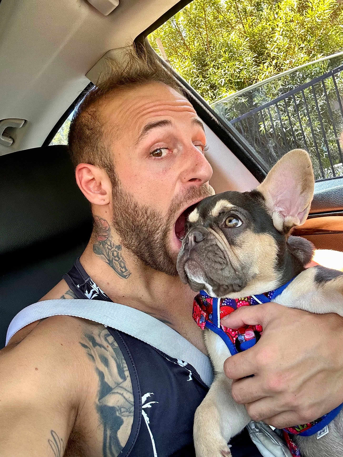 Gerald joined the competition — help win amazing prizes! man, dog, french_bulldog, puppy, tattoo, beard, car_interior, seatbelt, window, greenery, sunlight, playful, holding, closeup, pet, animal, portrait, casual, colorful_harness, expression