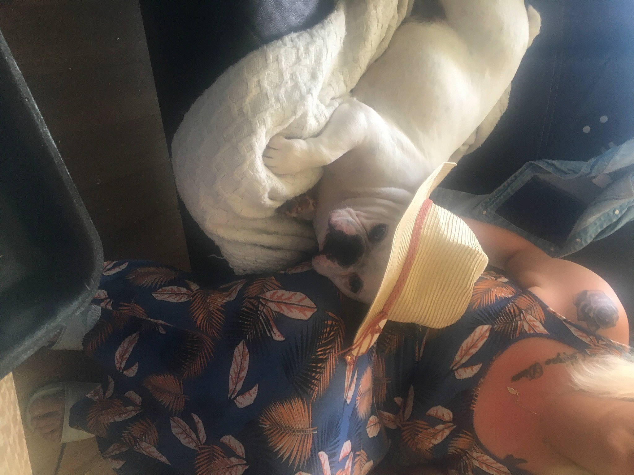 Gypsie participe au concours pour gagner de l'argent avec cette photo : arm, cg_artwork, chest, cloud, comfort, elbow, eyelash, foot, gesture, human_body, human_leg, knee, leg, nail, sleeve, tattoo_artist, temporary_tattoo, thigh, trunk, wrist