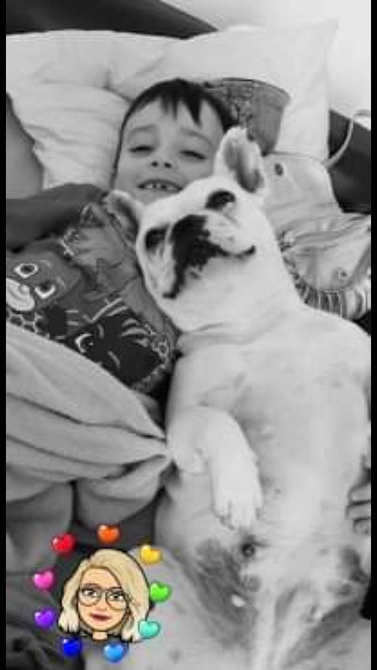 Gypsie a rejoint le concours — aidez-le/la à gagner de superbes lots ! black, carnivore, comfort, companion_dog, dog, dog_breed, fawn, happy, mammal, monochrome_photography, photo_caption, photograph, puppy_love, smile, snapshot, style, toy, toy_dog, white, working_animal