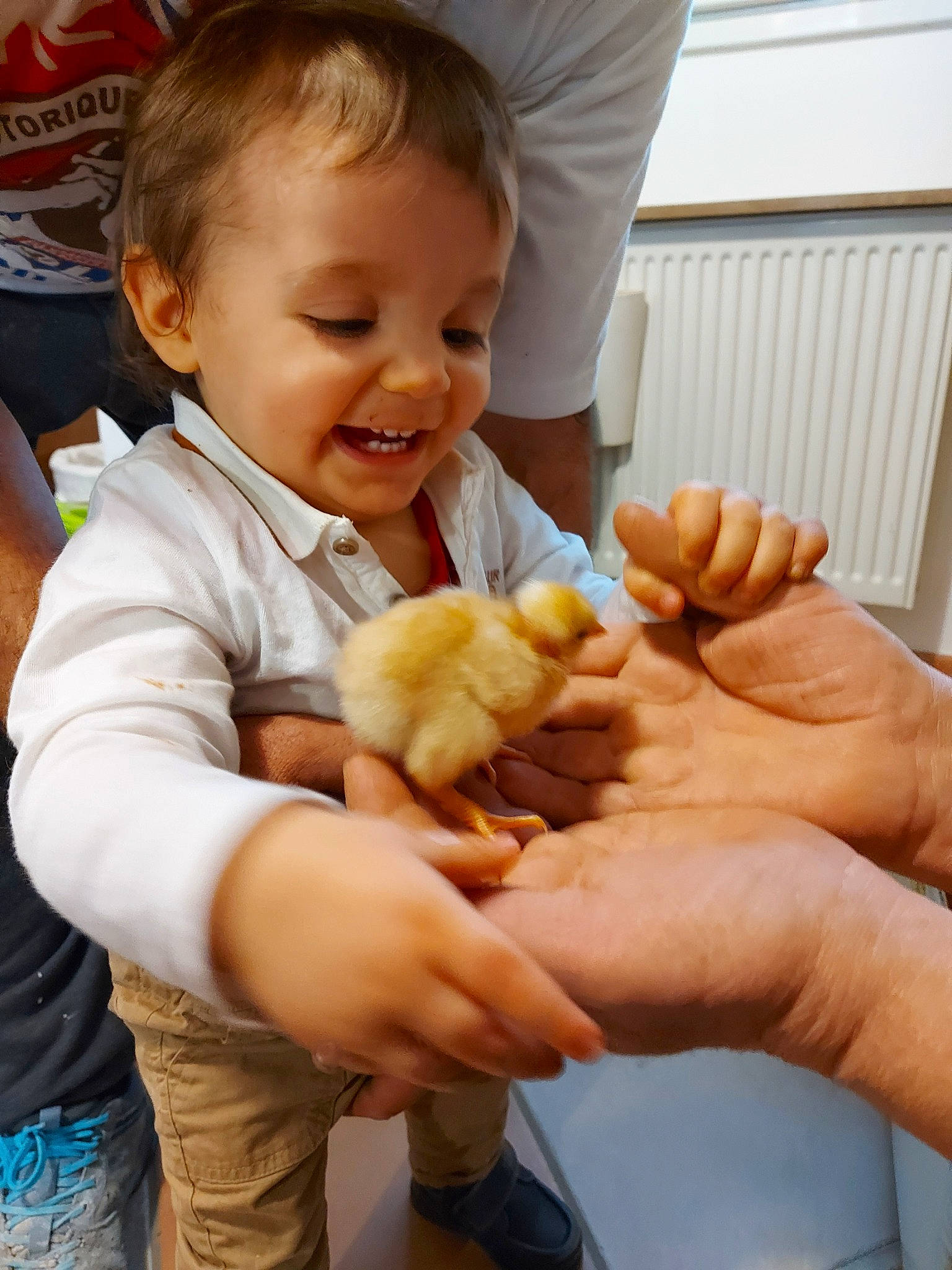 Santiago participe au concours pour gagner de l'argent avec cette photo : child, dish, person