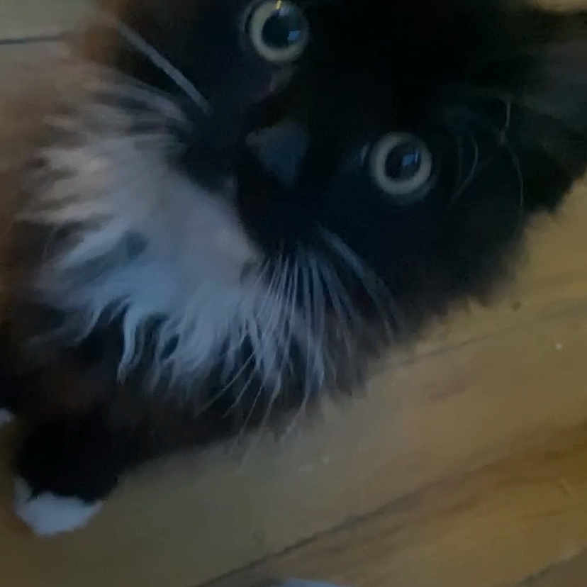 Benjy