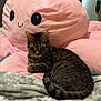 animal, bed, blanket, cat, cozy, cuddle, cute, fur, furniture, indoor, pet, pink_octopus, plush_toy, relaxed, sleepy, soft, striped, tabby_cat, tail, whiskers