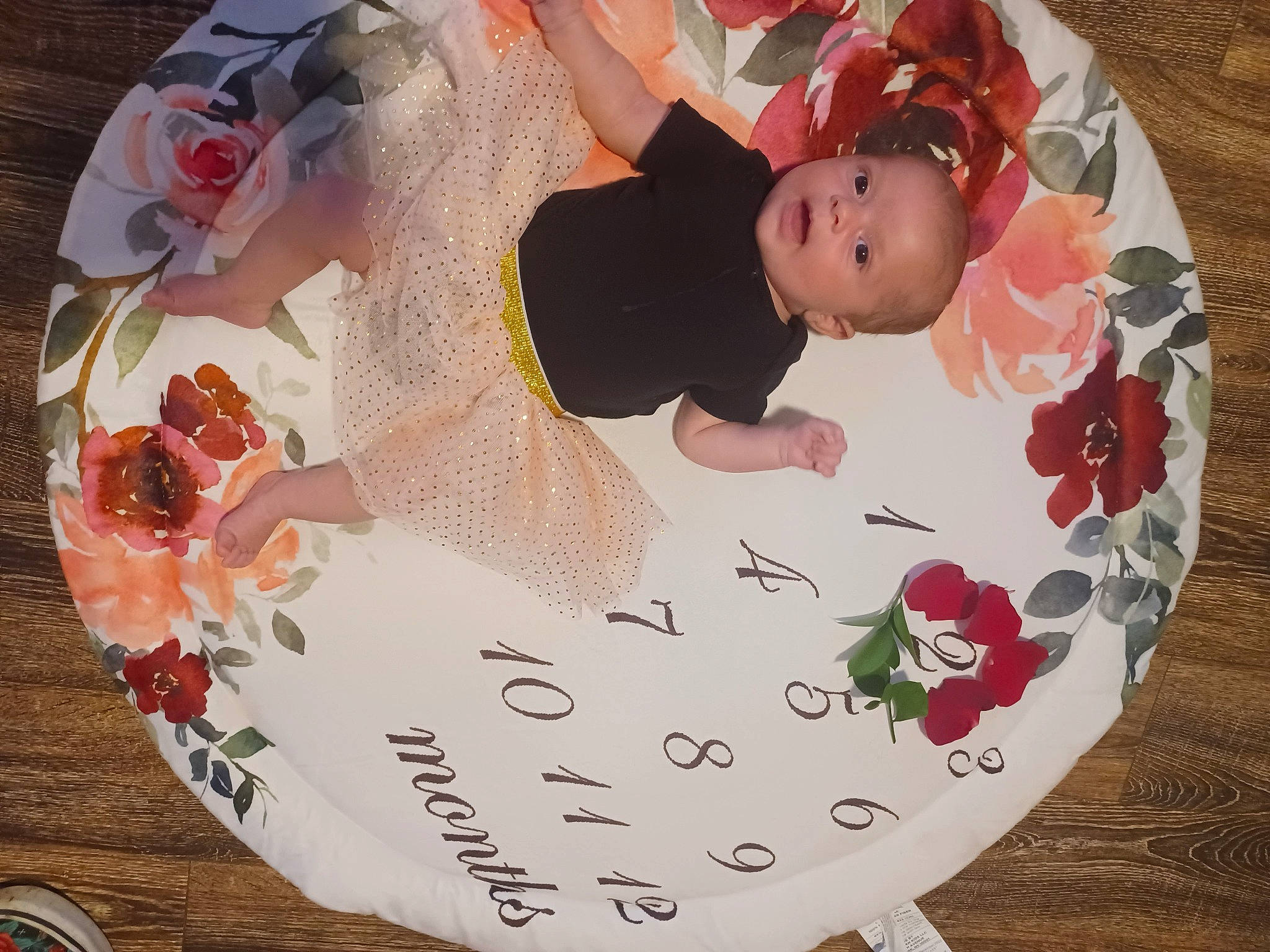 Brynleigh is registered to the contest to win money with this photo: baby, baby_products, baby_toddler_clothing, bathing, carmine, child, circle, dishware, fashion_accessory, happy, headgear, linens, pattern, person, petal, pink, porcelain, serveware, sweetness, textile