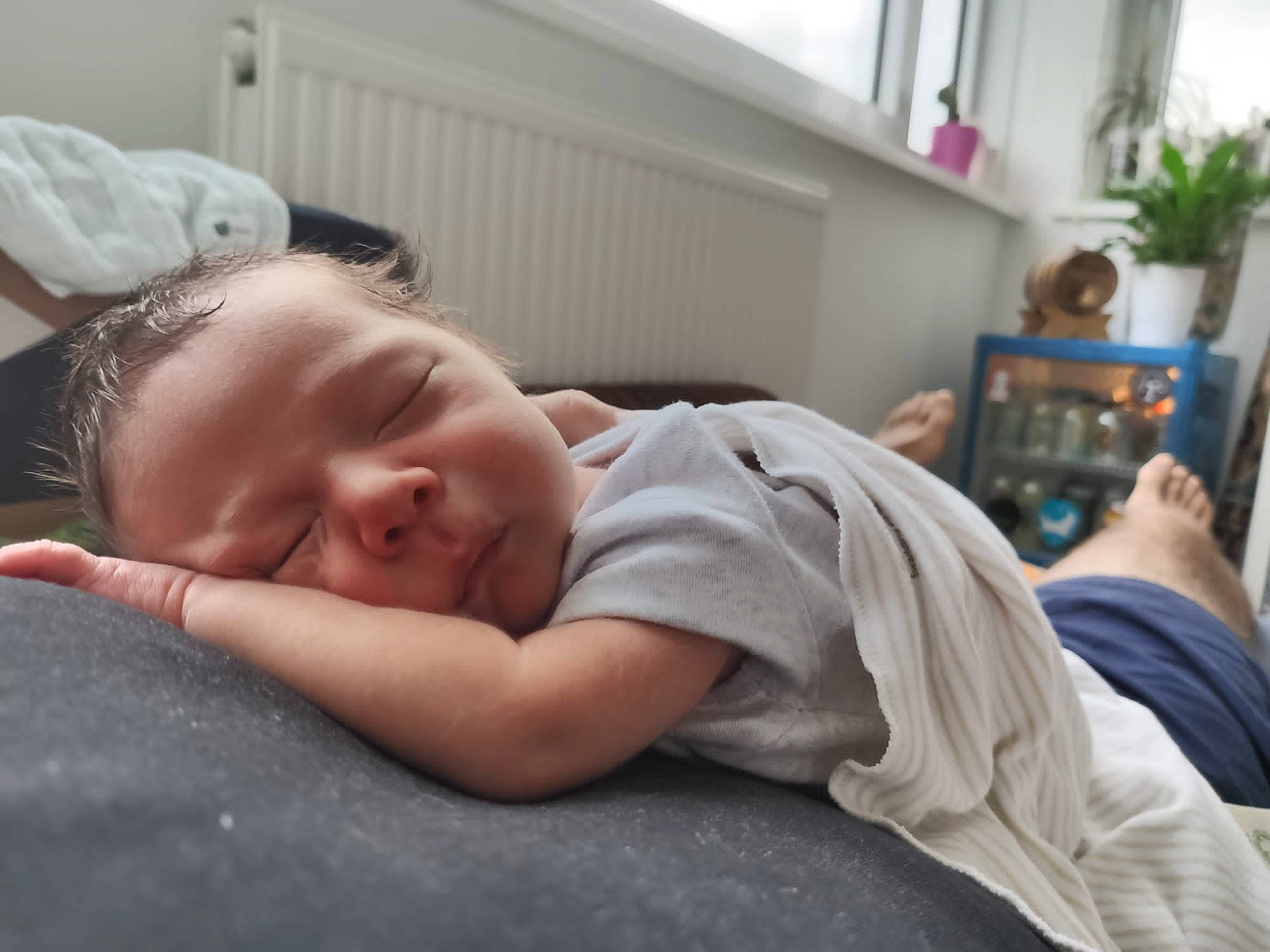 Gael joined the competition — help win amazing prizes! baby, bedding, bedtime, child, comfort, electronic_device, flooring, flowerpot, fun, gadget, grass, houseplant, linens, nap, nose, person, plant, room, shoulder, sitting