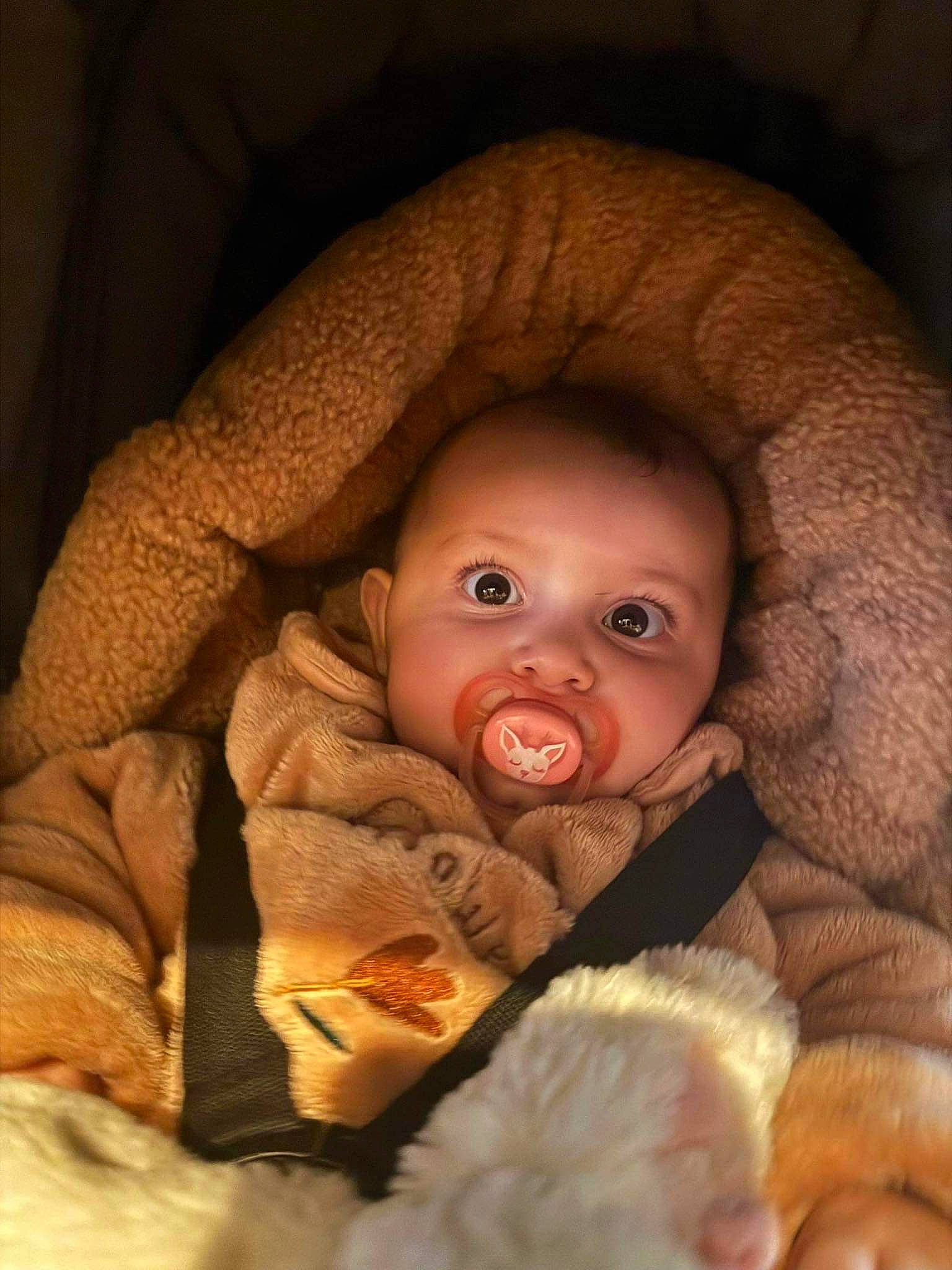 Alyah a rejoint le concours — aidez-le/la à gagner de superbes lots ! baby, baby_products, baby_sleeping, baby_toddler_clothing, bedtime, cheek, child, comfort, flash_photography, fur, headgear, human_body, iris, linens, lip, nose, person, room, sitting, skin