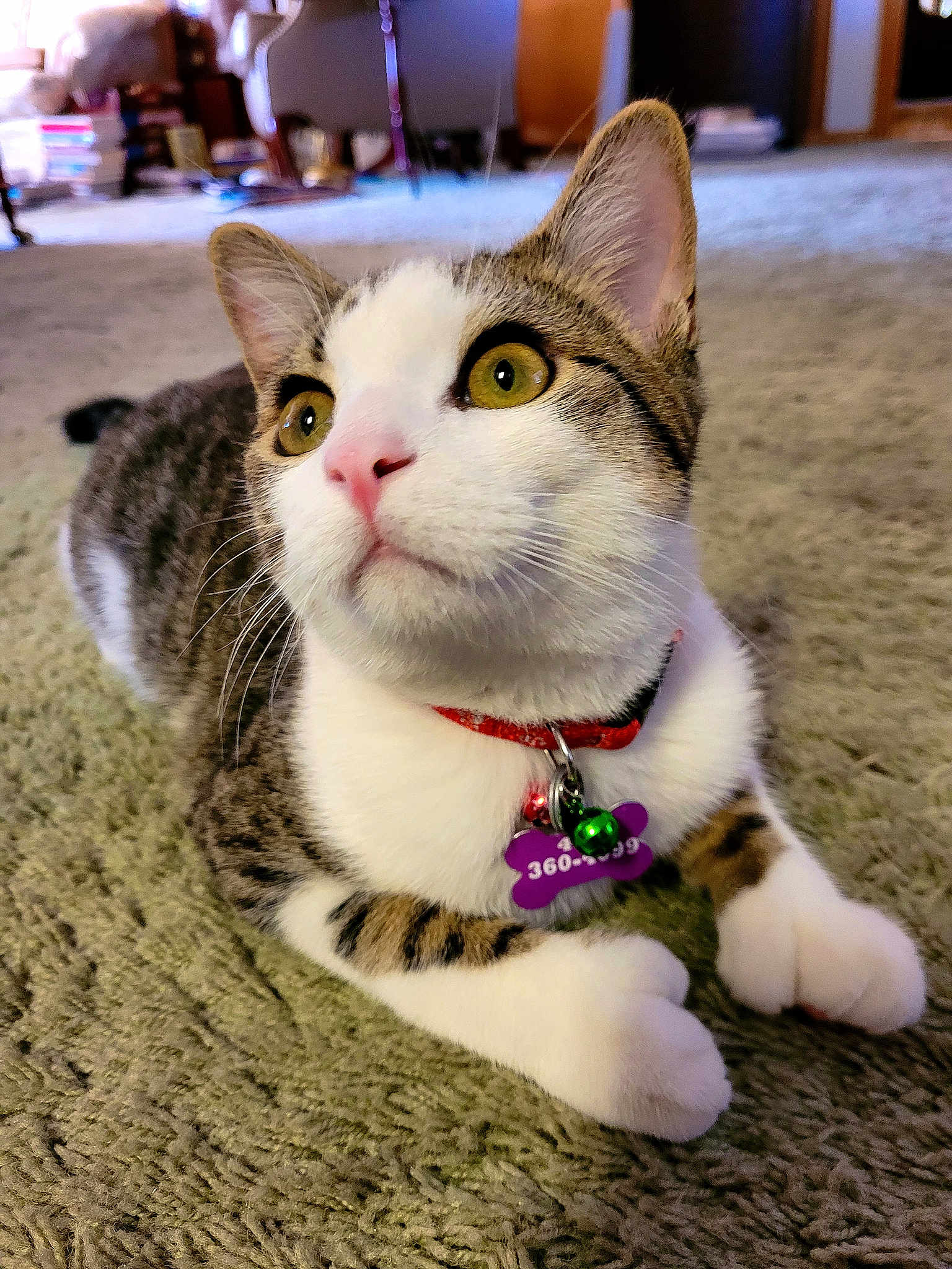 Mitty