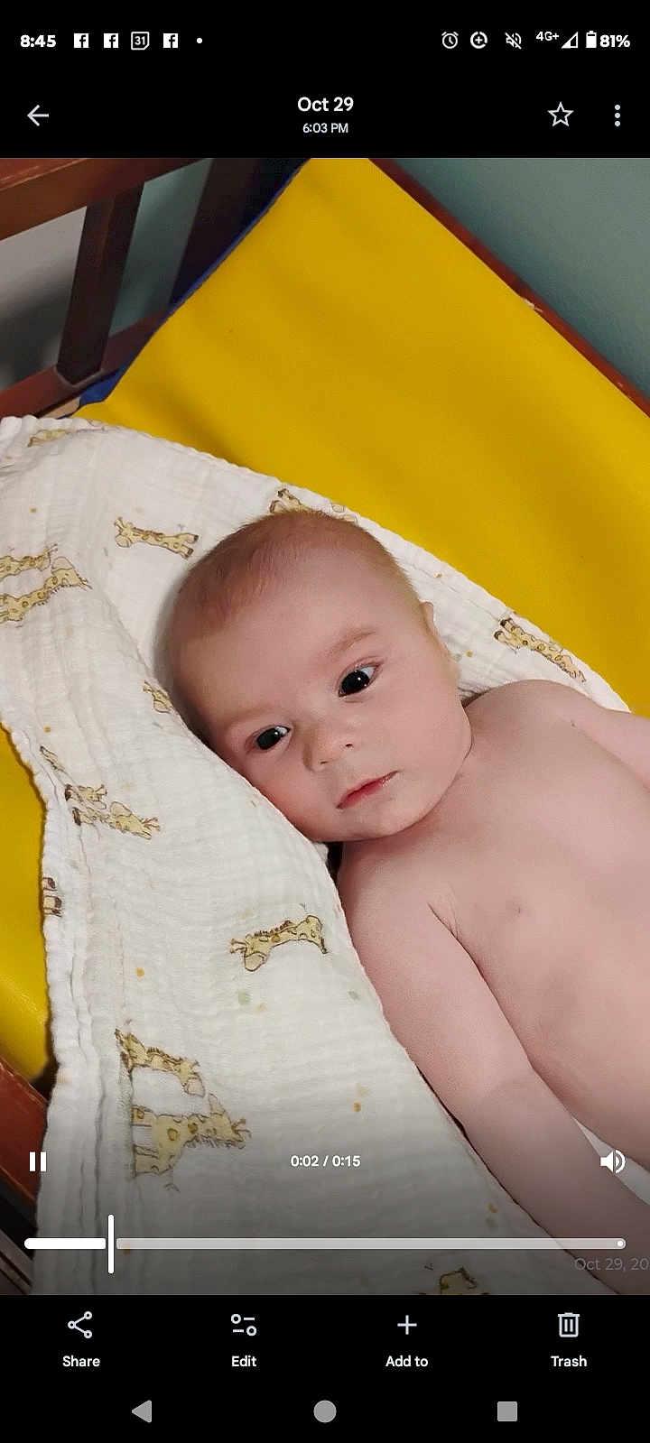 Leelynd joined the competition — help win amazing prizes! baby, infant, blanket, giraffe_print, yellow_pad, face, skin, eyes, lying_down, wooden_frame, indoor, curious, cute, newborn, child, soft_texture, resting, portrait, young, peaceful