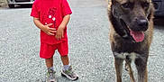 Issa a rejoint le concours — aidez-le/la à gagner de superbes lots ! child, dog, outdoor, gravel, red_clothing, hat, pet, animal, person, walking, summer, trees, car, house, sidewalk, tongue_out, curly_hair, shoes, playful, neighborhood