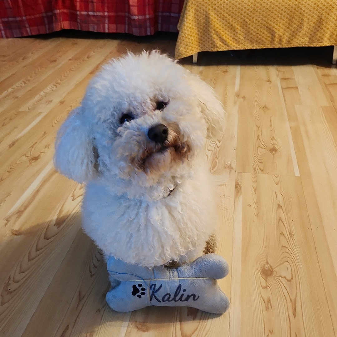 Kalin