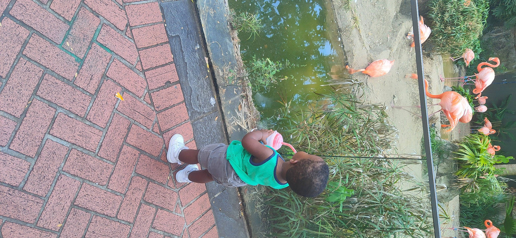 Jalen joined the competition — help win amazing prizes! brick, brickwork, cobblestone, concrete, electric_blue, flooring, fun, grass, hat, human_leg, leisure, person, plant, recreation, road_surface, shadow, sidewalk, t_shirt, thigh, wood