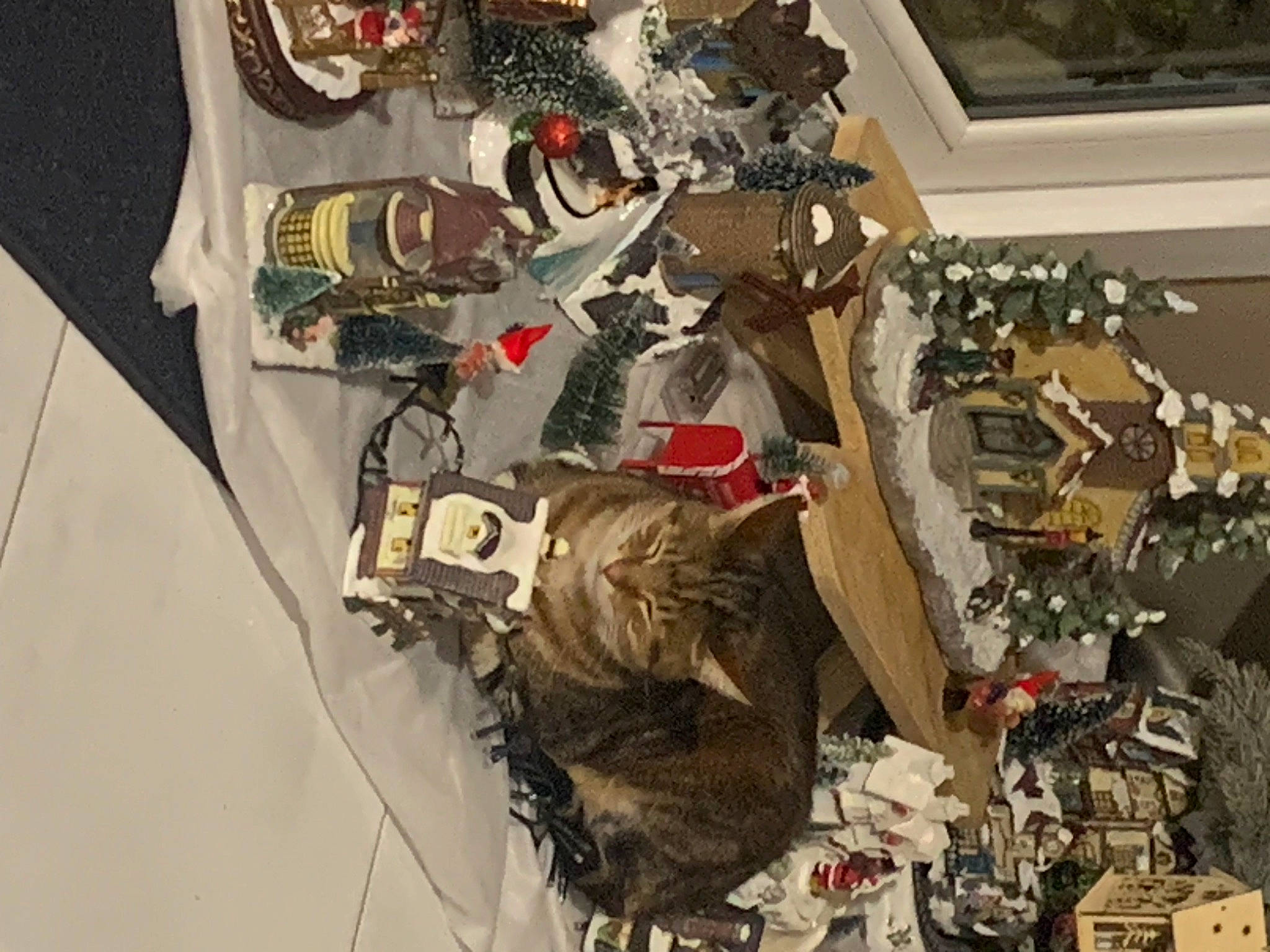 Moumou participe au concours pour gagner de l'argent avec cette photo : art, carmine, collection, event, hat, house, room, textile, tree, visual_arts, window, wood