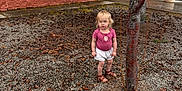 Melanie joined the competition — help win amazing prizes! child, toddler, blonde_hair, tree, gravel, outdoor, building, window, pink_shirt, white_shorts, sandals, curious, standing, nature, sidewalk, leaves, daylight, person, young_child, casual_clothing