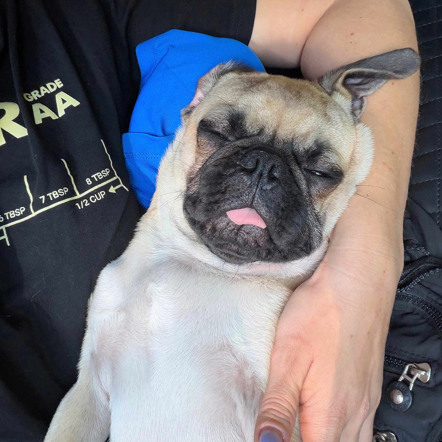 Pugsley