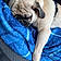 Pugsley