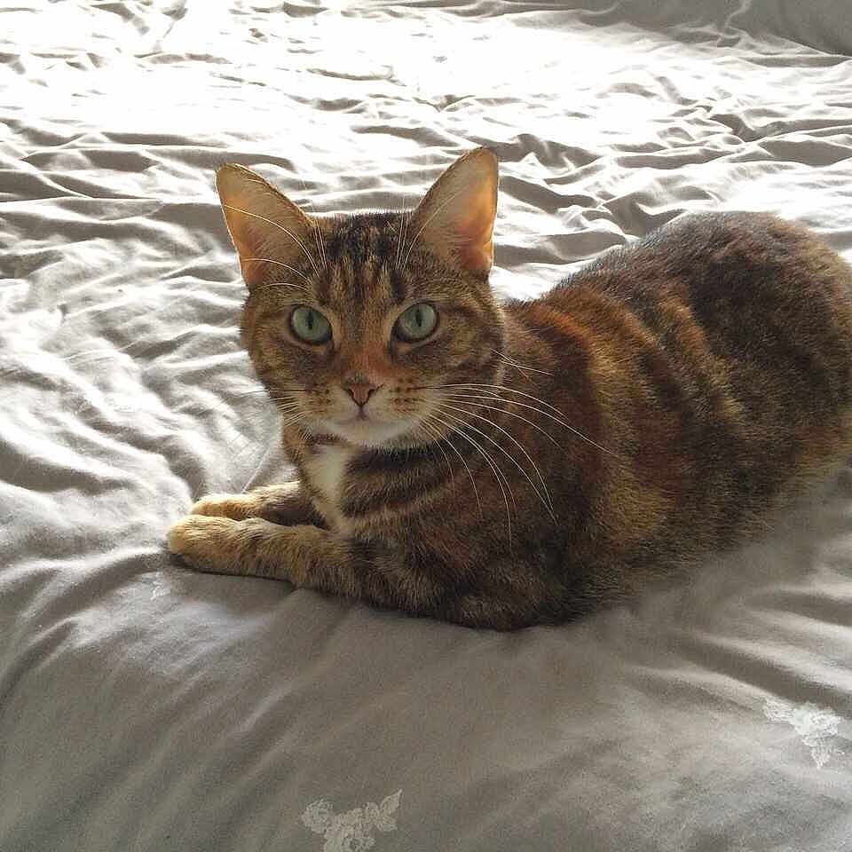 Lilly