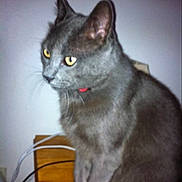 Otis participe au concours pour gagner de l'argent avec cette photo :