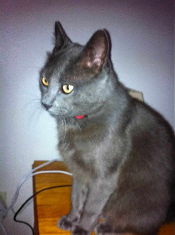 Otis