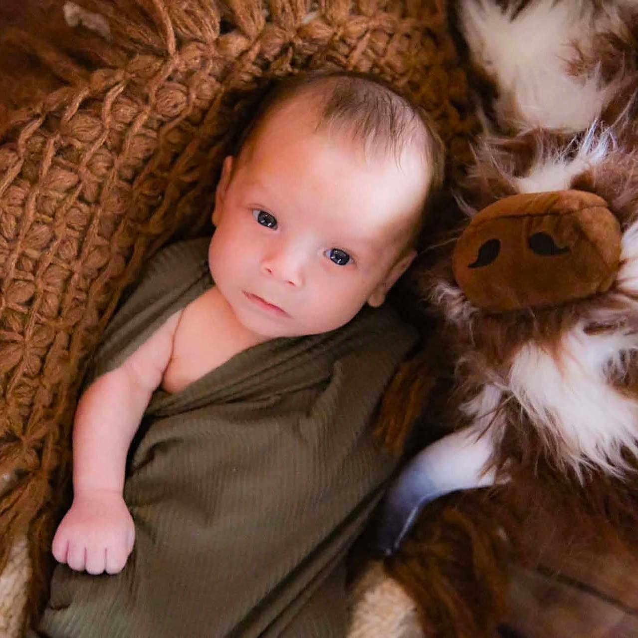 Takoa is registered to the contest to win money with this photo: baby, brown_blanket, child, closeup, comfort, cozy, cute, face, furry, hand, indoor, infant, knitted_blanket, plush_toy, portrait, resting, skin, sleepy, soft_texture, swaddle
