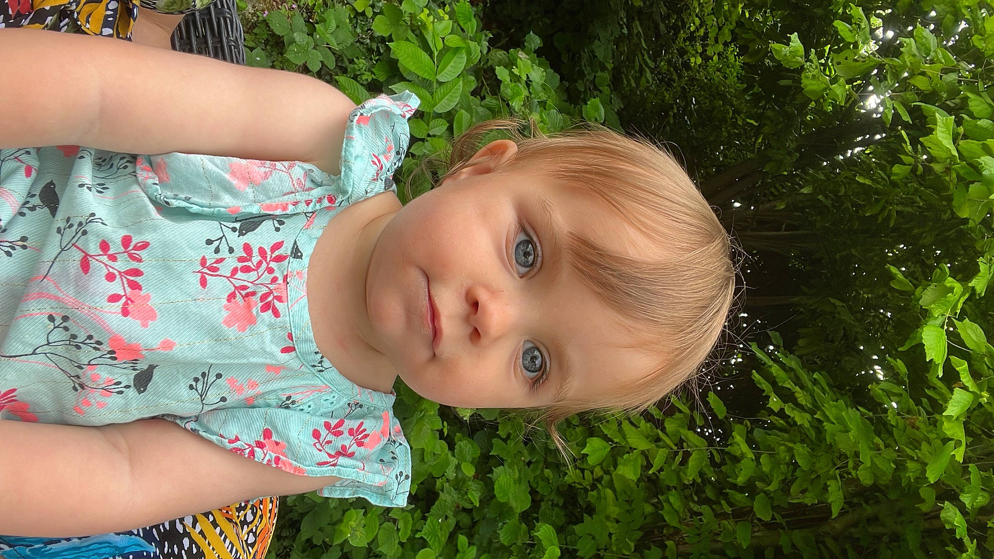 Iara participe au concours pour gagner de l'argent avec cette photo : chin, eye, fun, grass, grass_family, happy, human_body, iris, leisure, lip, mammal, nature, neck, nose, people_in_nature, person, plant, skin, toddler, tree