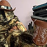 accessory, animal, cat, closeup, cowboy_boots, cowboy_hat, cute, domestic_cat, fashion, funny, fur, gray_shirt, green_eyes, holding, indoor, person, pet, portrait, tortoiseshell_cat, whiskers