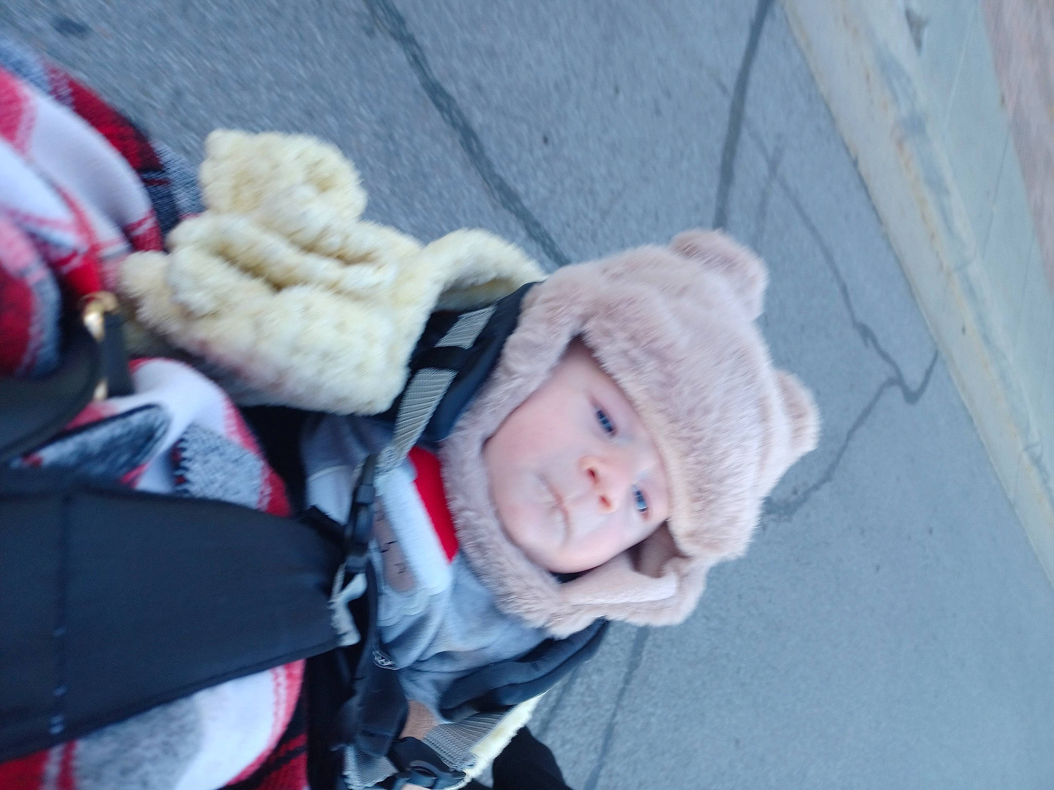 Odin joined the competition — help win amazing prizes! baby, baby_carriage, baby_products, beanie, freezing, fur, fur_clothing, headwear, knit_cap, person, plant, snow, toddler, tree, water, window, winter, wool, woolen