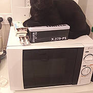 Ohana participe au concours pour gagner de l'argent avec cette photo : black, black_cat, carnivoran, cat, cat_like_mammal, electronic_device, furniture, small_to_medium_sized_cats, technology, whiskers