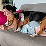 Colomby a rejoint le concours — aidez-le/la à gagner de superbes lots ! affection, artwork, beach_scene, casual_clothing, couch, dog, floor, framed_picture, glasses, happy, indoor, living_room, pet, pillow, plant, playful, relaxing, smiling, woman, wood_floor
