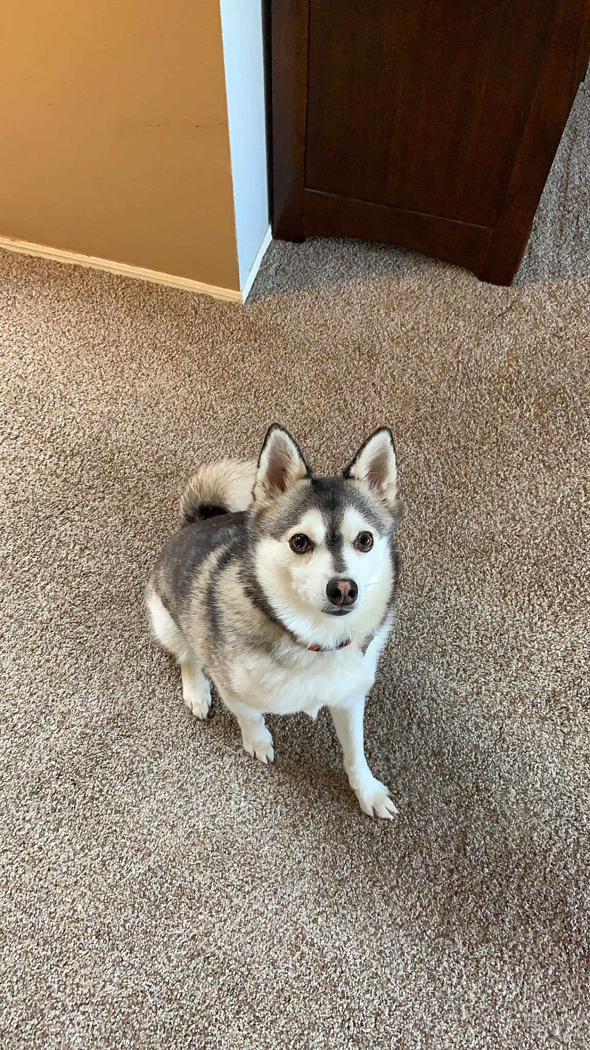 Kona