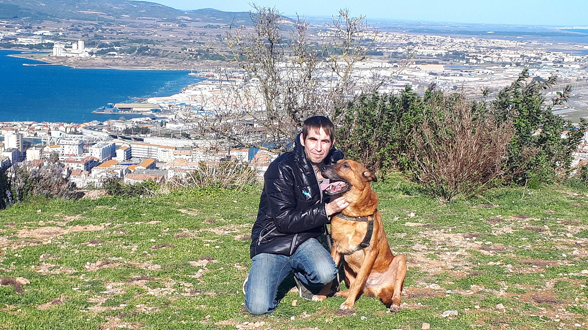 Junior a rejoint le concours — aidez-le/la à gagner de superbes lots ! alano_espanol, belgian_shepherd_malinois, boerboel, canidae, carnivore, dog, dog_breed, german_shepherd_dog, mammal, old_german_shepherd_dog, vertebrate, working_dog