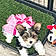 Lilly