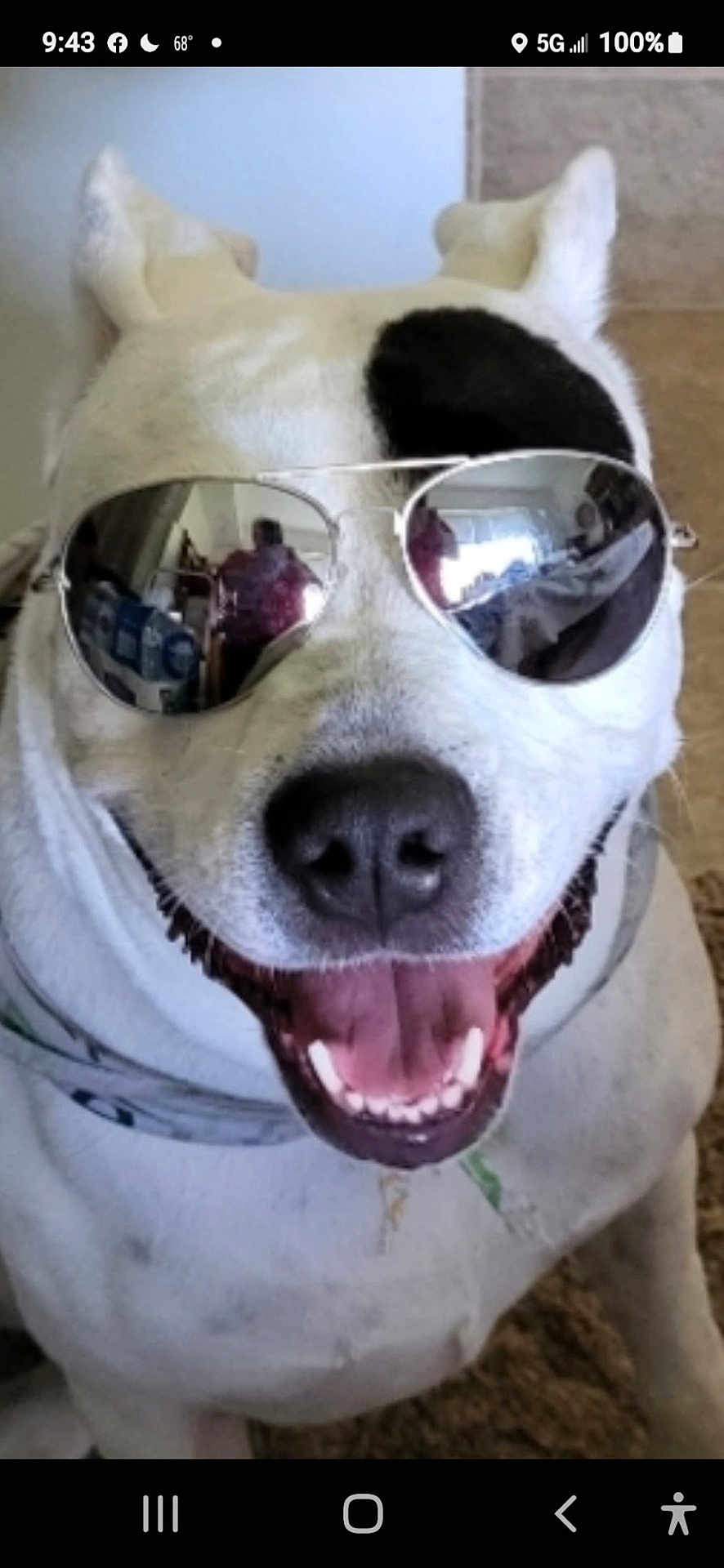 Missy